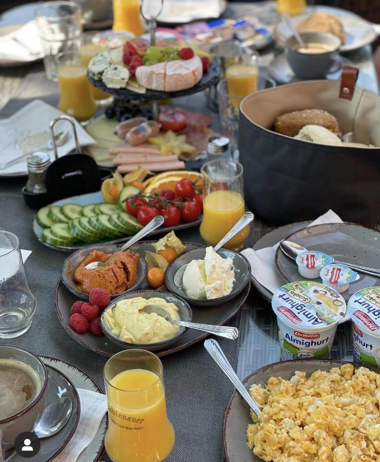 Elbpension & Ferienwohnung Saechsische Schweiz ピルナ エクステリア 写真