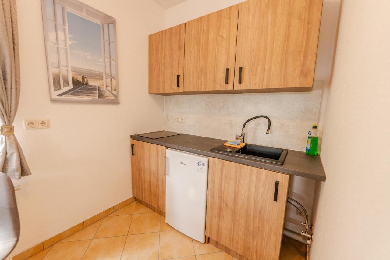 Elbpension & Ferienwohnung Saechsische Schweiz ピルナ エクステリア 写真